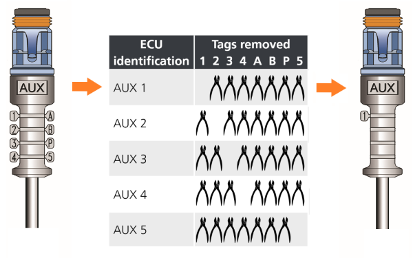 tag identifier aux.png