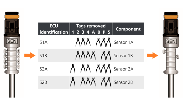 tag identifier sensor.png