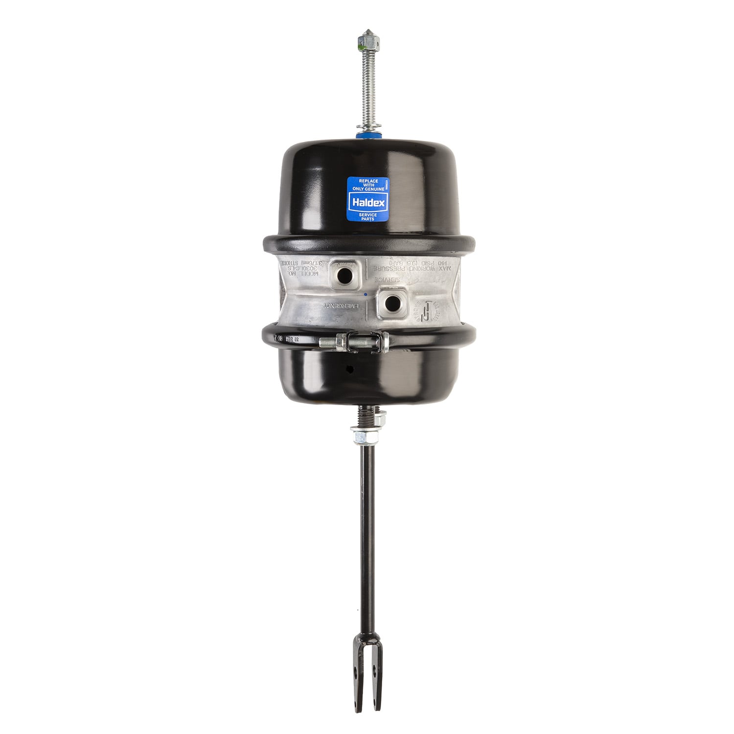 Haldex | LCP3030LS4CW